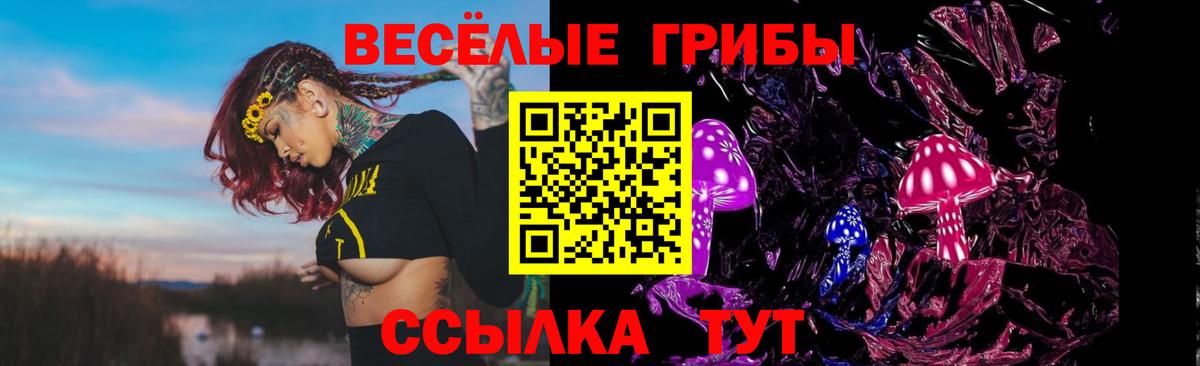 Галлюциногенные грибы ЛСД Сальск